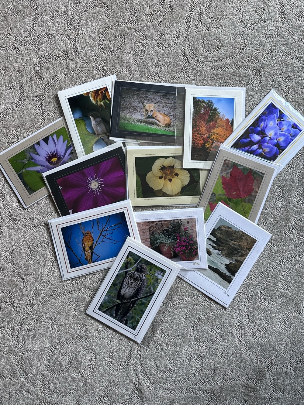 Photo Print Assortment - Multicolor Greeting Cards